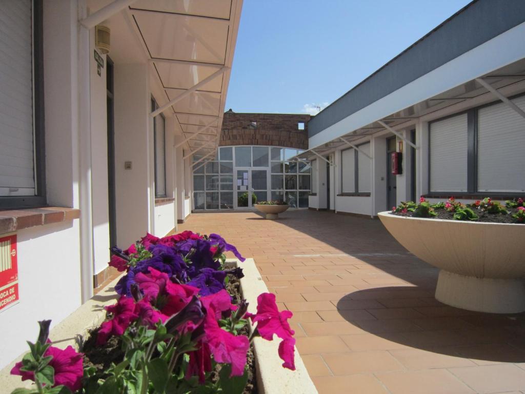 Apartamento Elena
